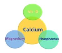 Know Health Enriching Nutritional Combinations with Calcium