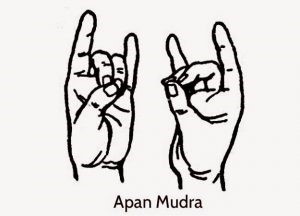 Correct Your Digestive Disorders at Your Finger Tip with in no time